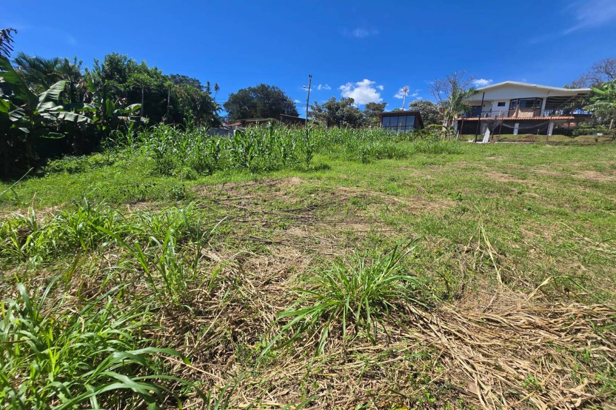 WhatsApp-Image-2025-11-19-at-3.30.37-PM-2-1