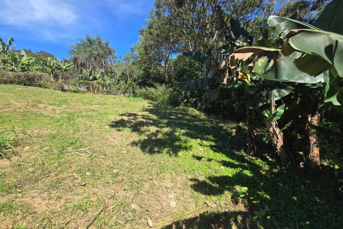 WhatsApp-Image-2025-11-19-at-3.30.37-PM-4