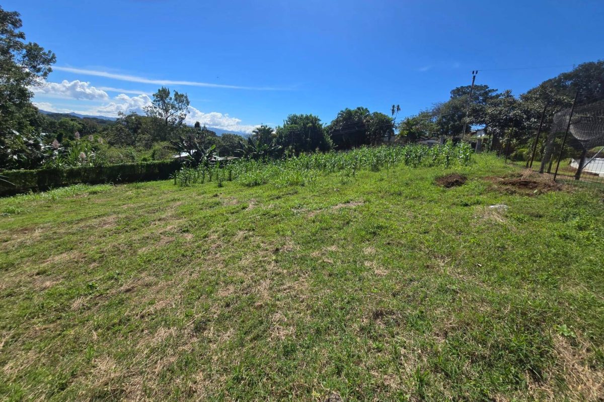 WhatsApp-Image-2025-11-19-at-3.30.40-PM-1