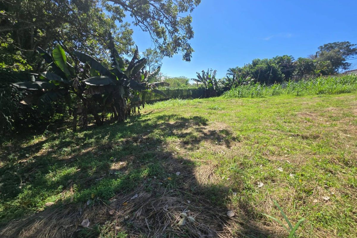 WhatsApp-Image-2025-11-19-at-3.30.40-PM