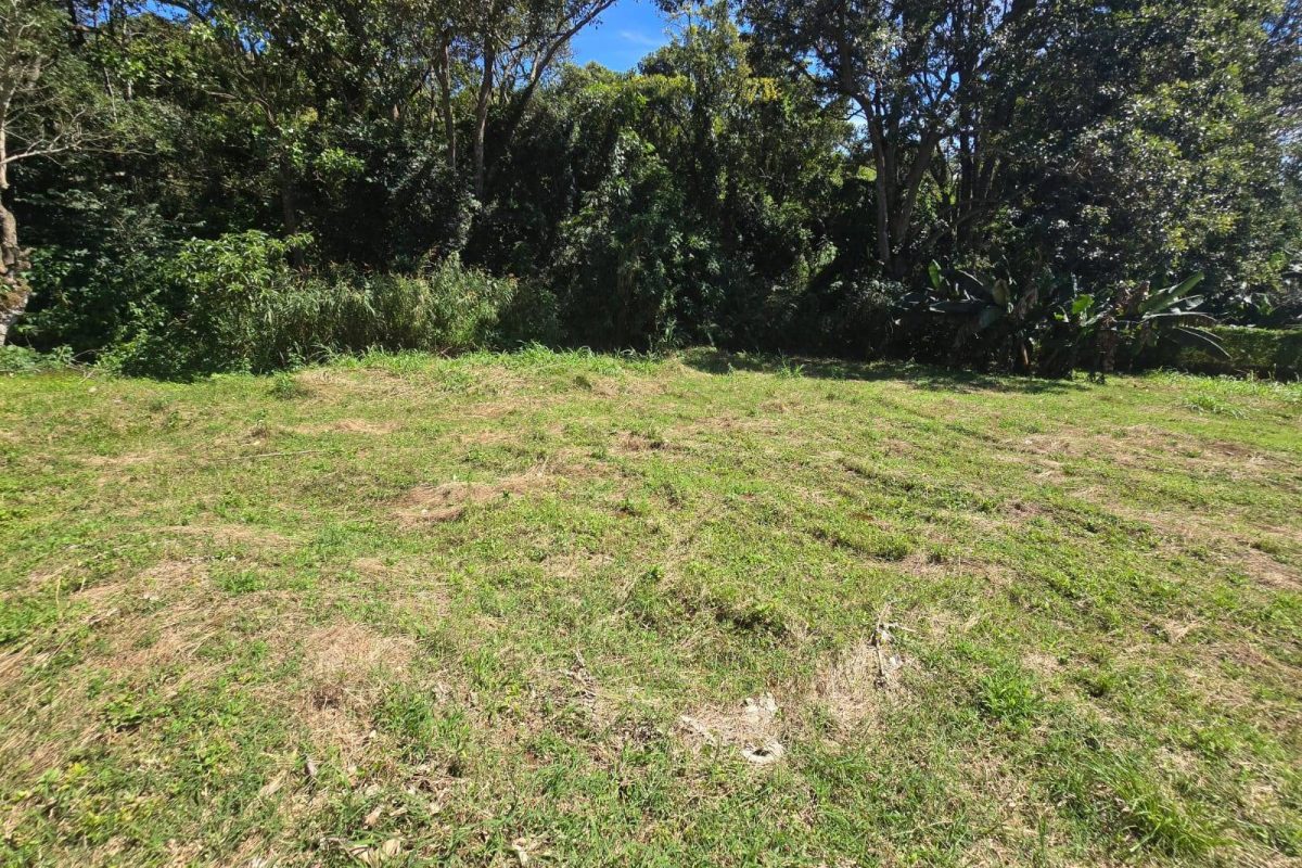 WhatsApp-Image-2025-11-19-at-3.30.41-PM-1