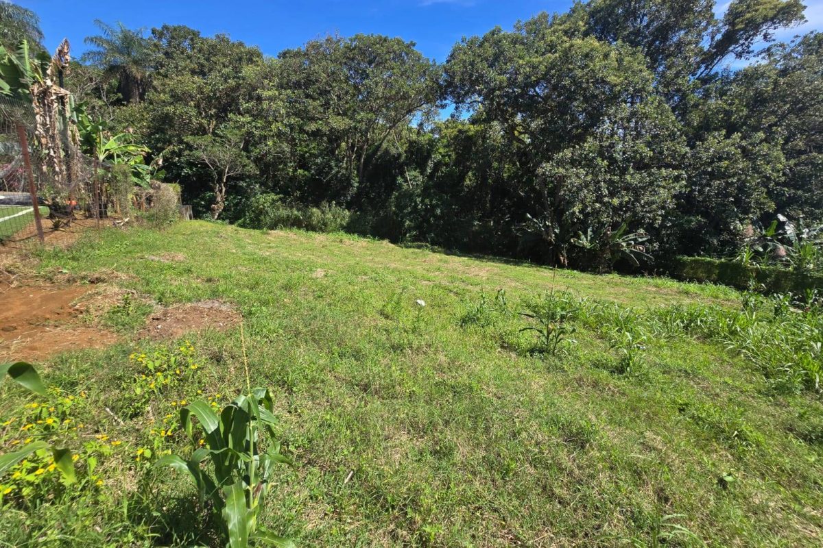 WhatsApp-Image-2025-11-19-at-3.30.41-PM-2