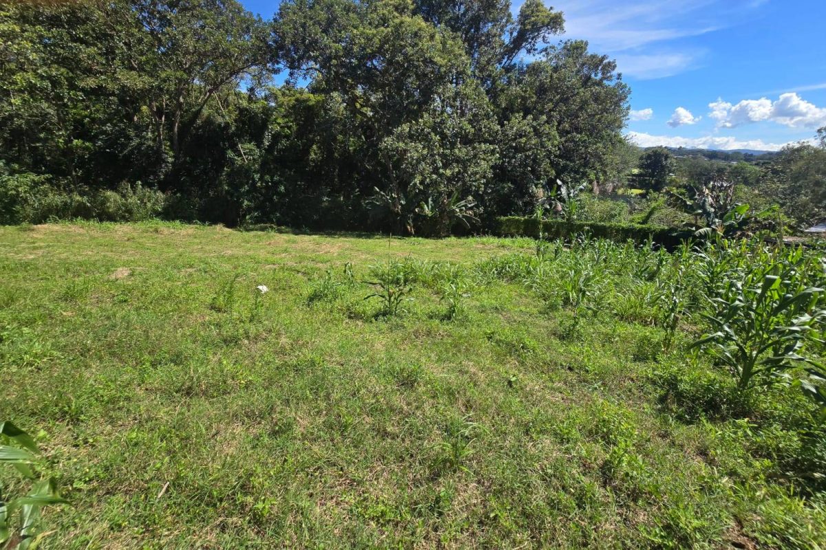 WhatsApp-Image-2025-11-19-at-3.30.41-PM-3