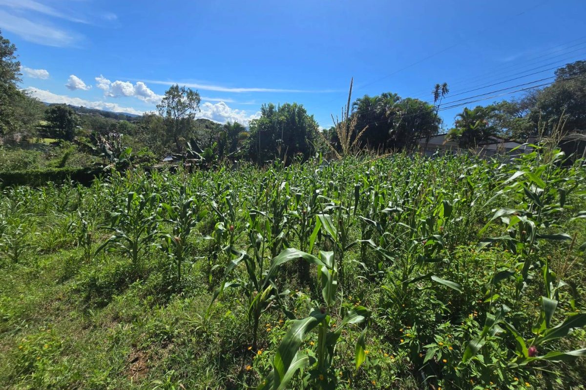 WhatsApp-Image-2025-11-19-at-3.30.41-PM-4