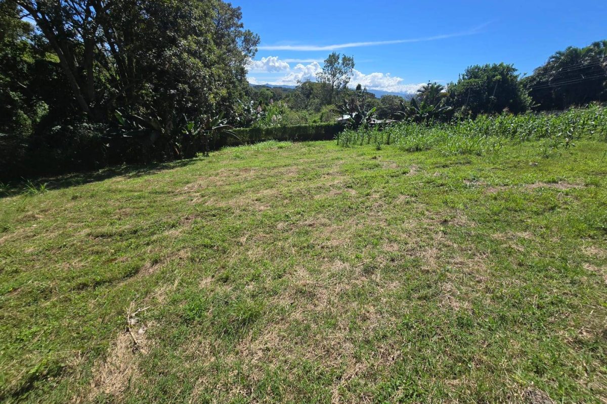 WhatsApp-Image-2025-11-19-at-3.30.41-PM