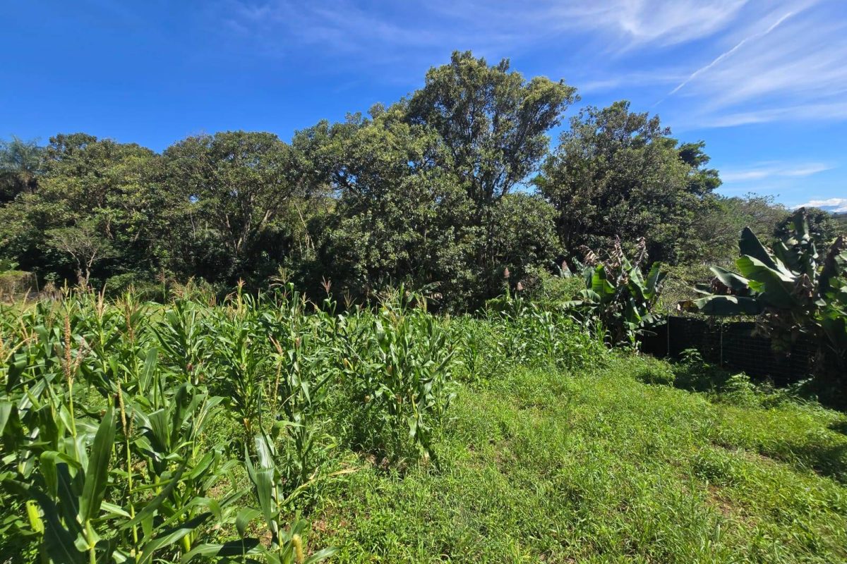 WhatsApp-Image-2025-11-19-at-3.30.42-PM-1