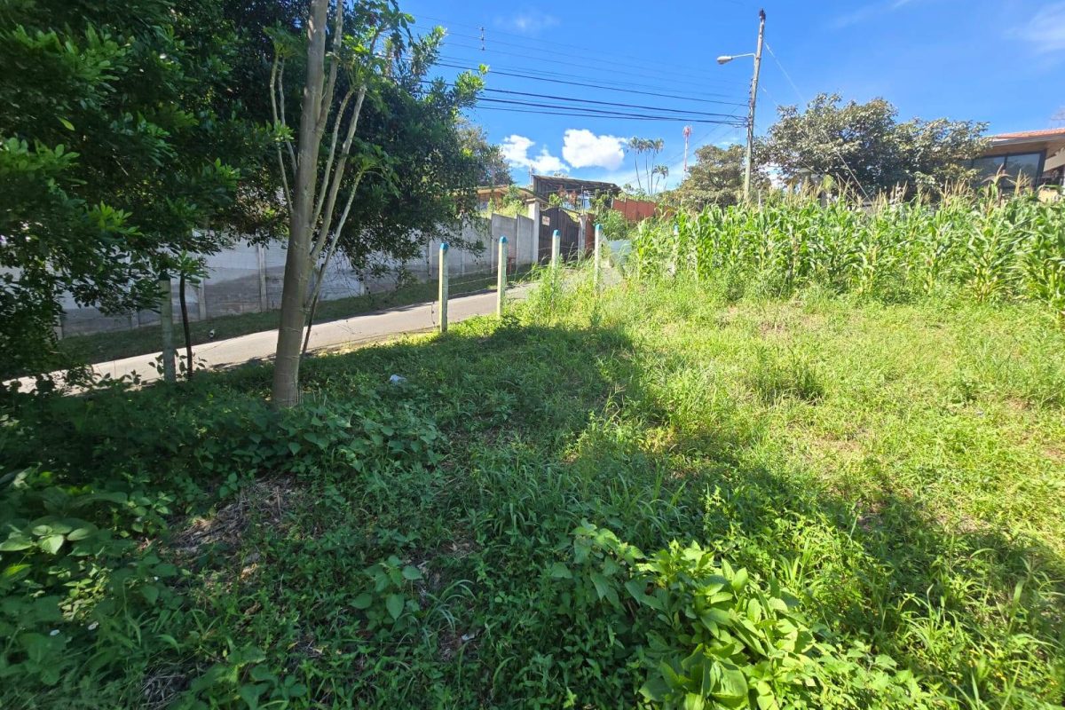 WhatsApp-Image-2025-11-19-at-3.30.42-PM-2