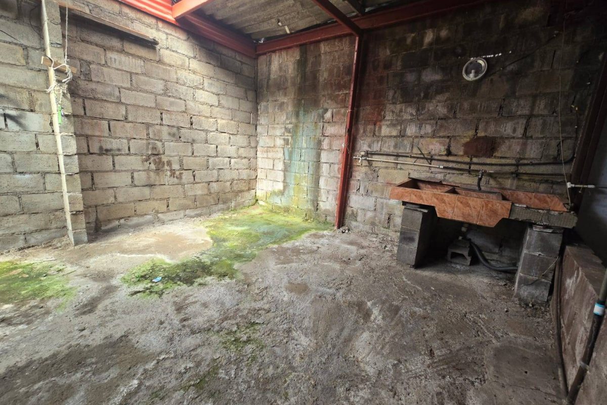 WhatsApp-Image-2025-12-09-at-10.08.03-AM