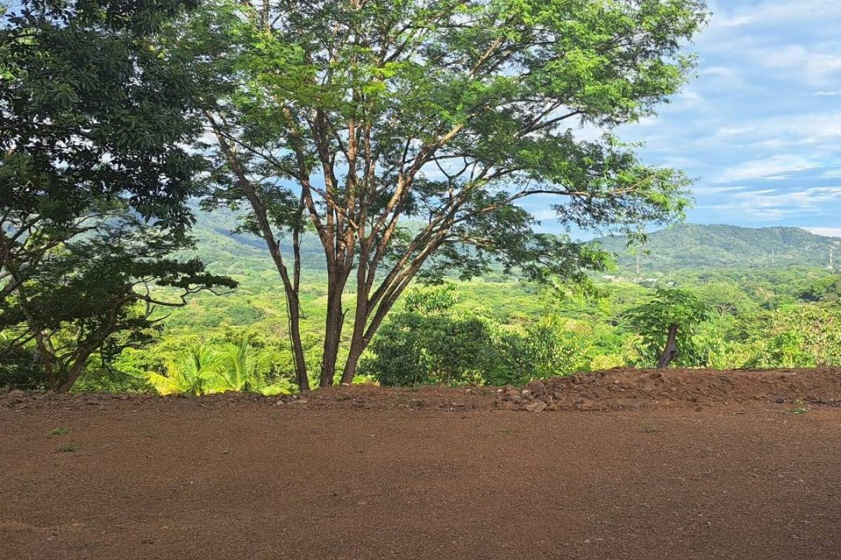 c43acc2e-56a3-4452-a383-070495cd0f1b