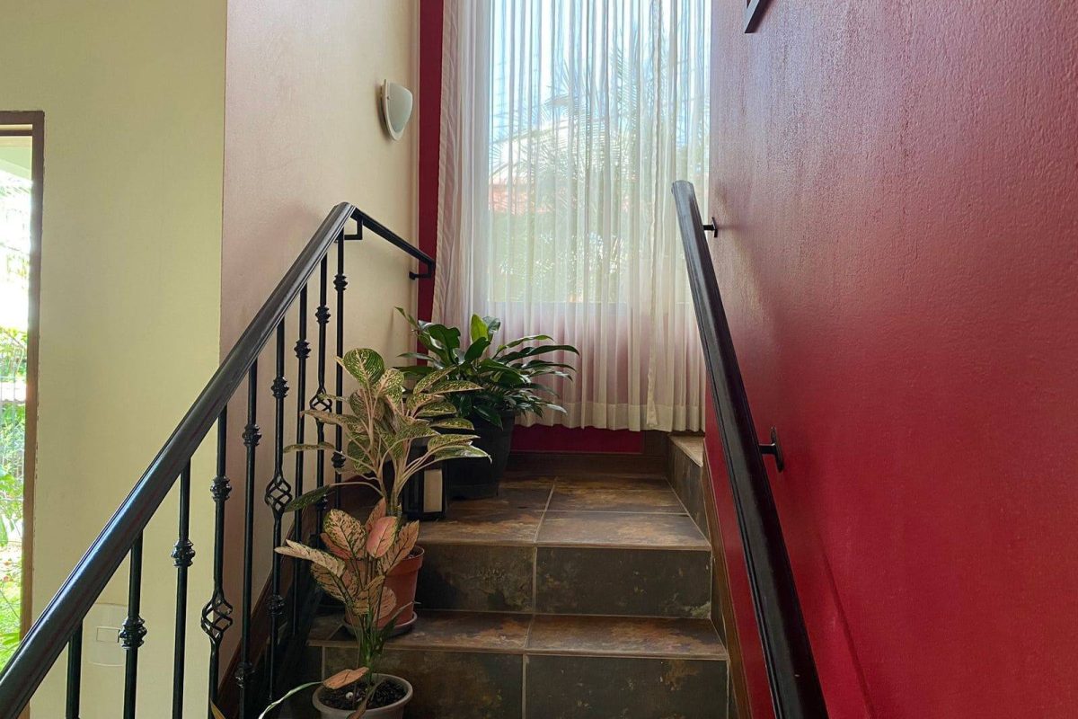 casa vicente comprimida9