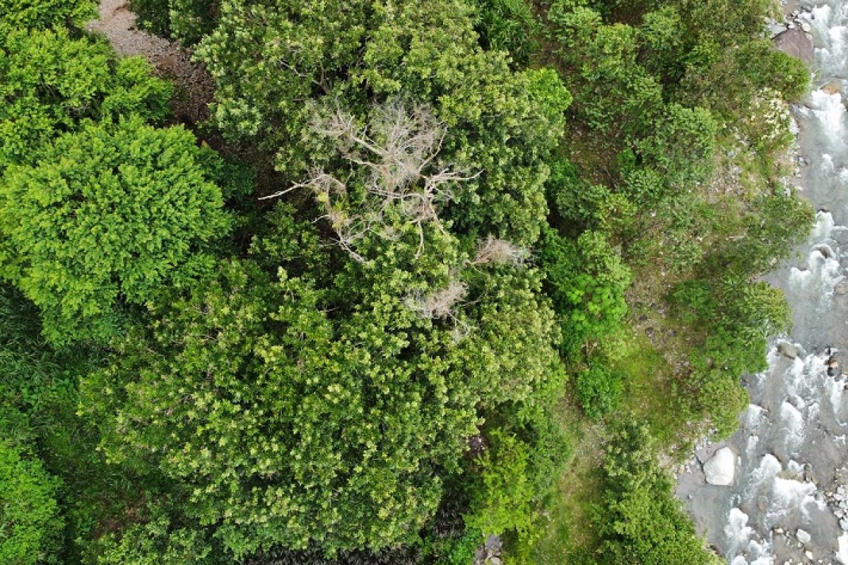 dji_fly_20230806_130704_152_1691364320156_photo_optimized