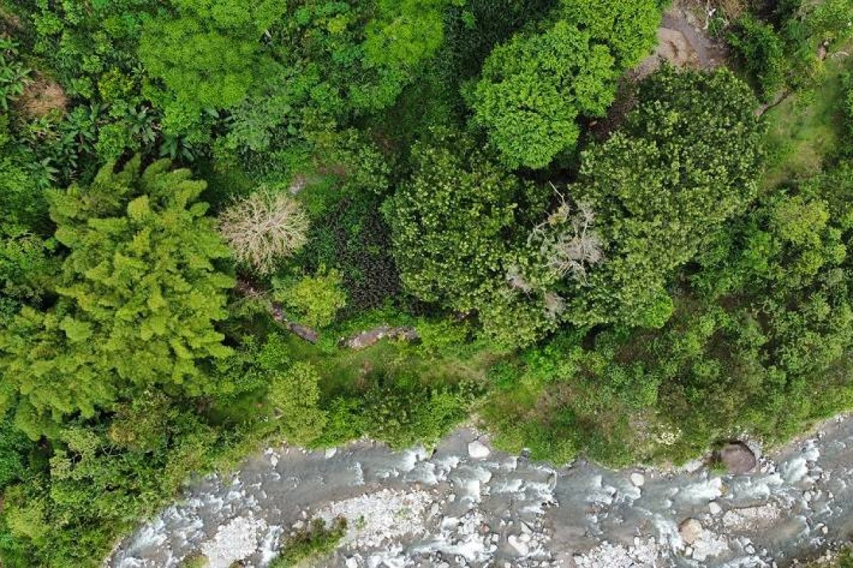 dji_fly_20230806_130734_156_1691364314985_photo_optimized