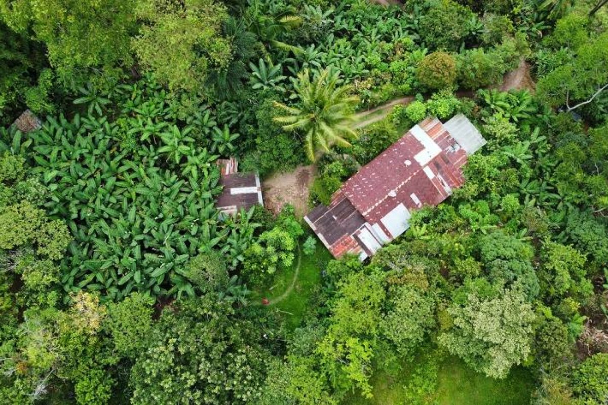 dji_fly_20230806_134140_168_1691364139698_photo_optimized