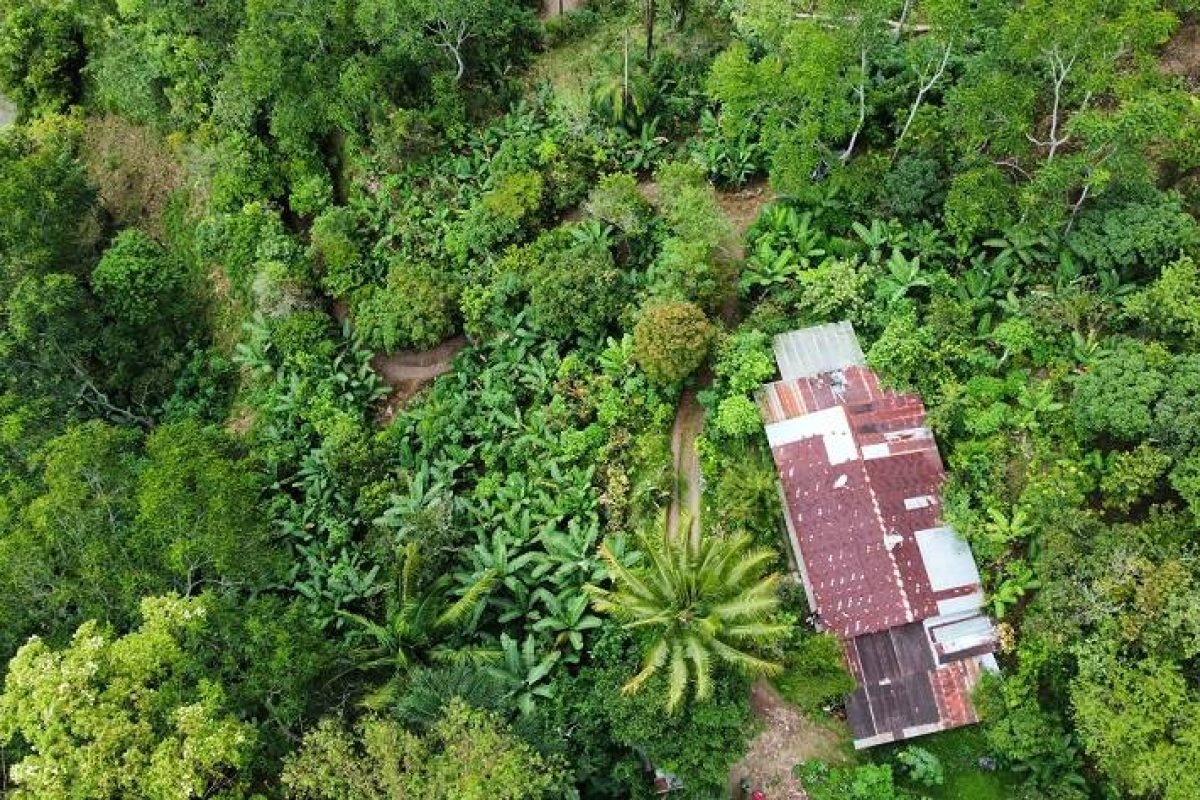 dji_fly_20230806_134418_179_1691364085825_photo_optimized