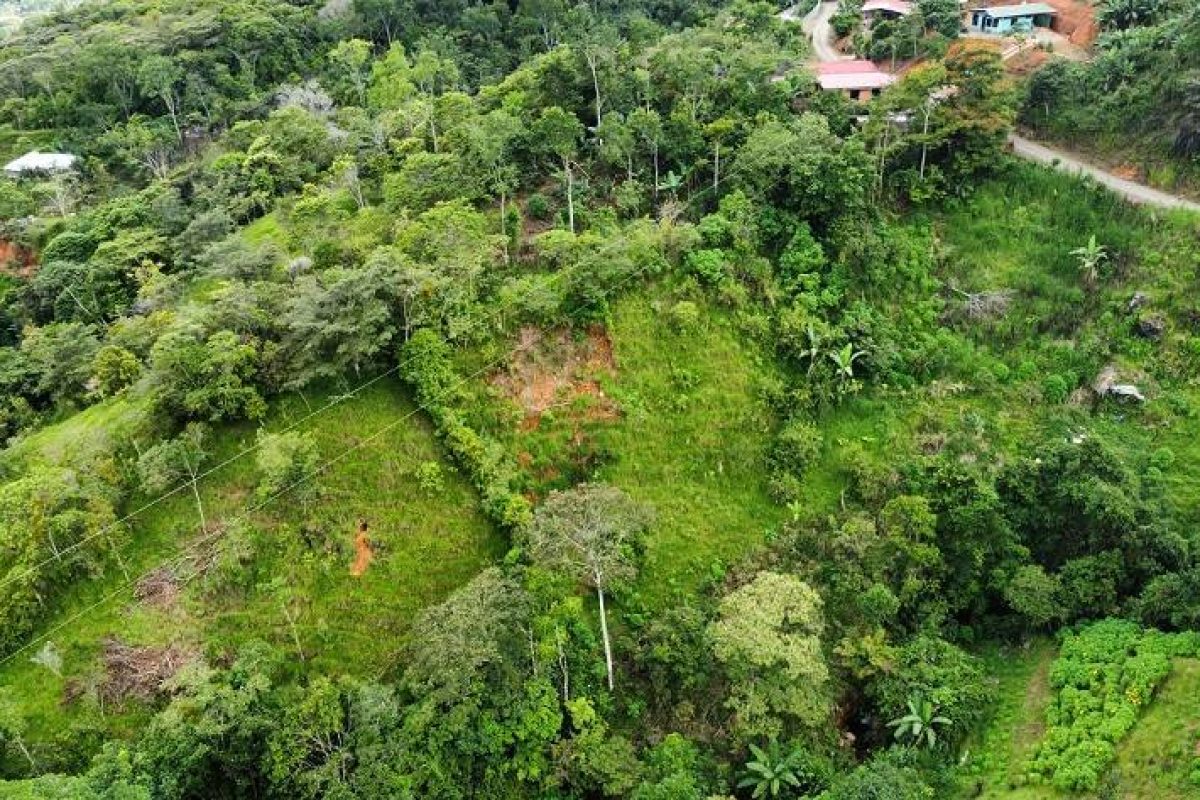 dji_fly_20230806_150242_182_1691364072638_photo_optimized