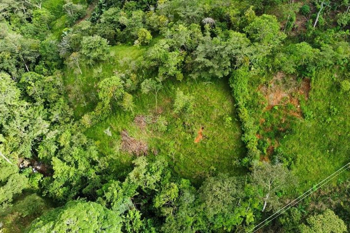 dji_fly_20230806_150556_187_1691364013131_photo_optimized