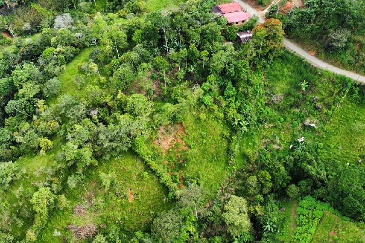 dji_fly_20230806_150626_188_1691364012177_photo_optimized