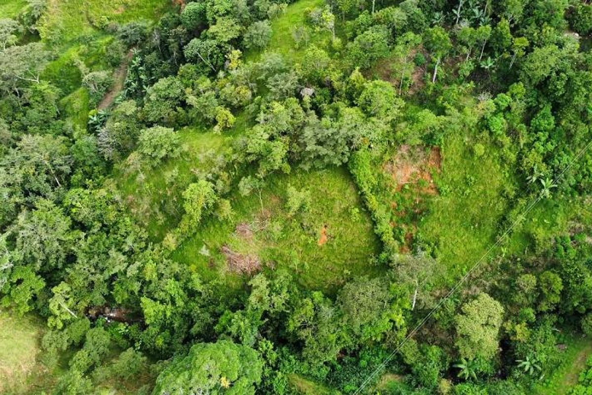 dji_fly_20230806_150638_191_1691364009378_photo_optimized