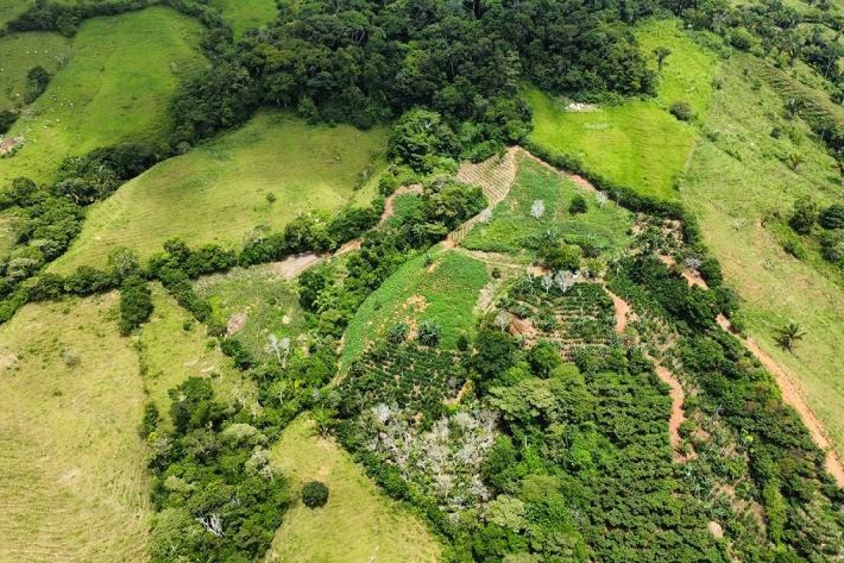 dji_fly_20230831_095956_461_1693497669878_photo_optimized