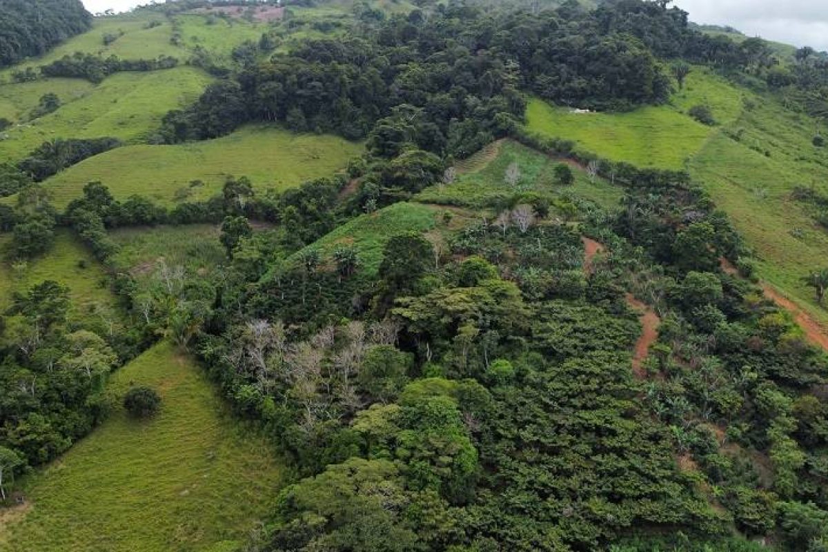 dji_fly_20230831_113834_478_1693503539349_photo_optimized