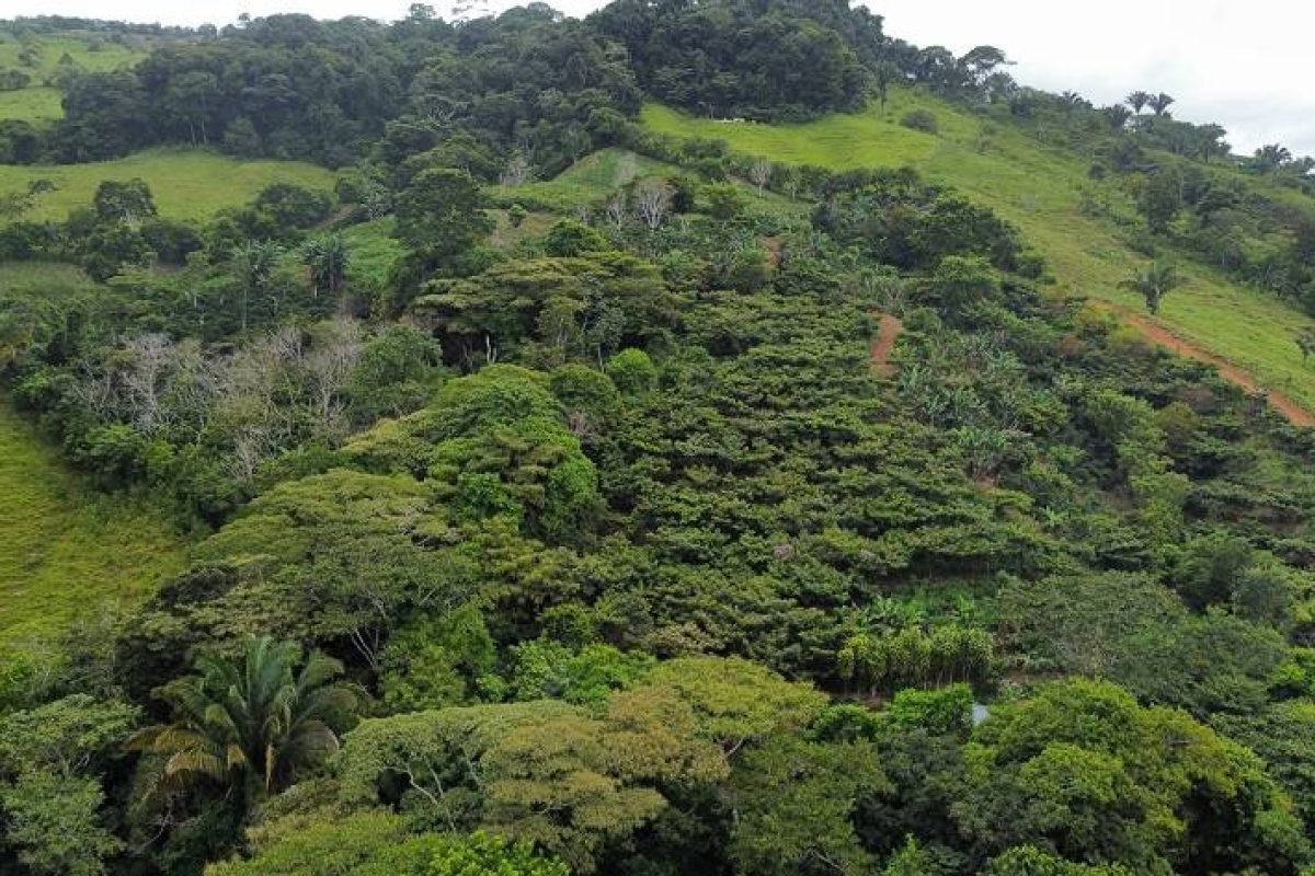 dji_fly_20230831_114046_483_1693503674555_photo_optimized