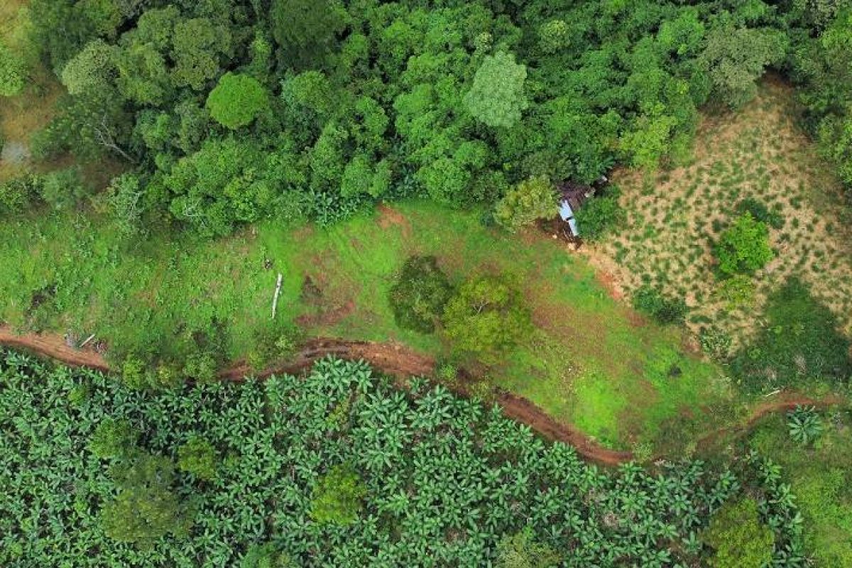 dji_fly_20230903_153840_600_1693777147920_photo_optimized