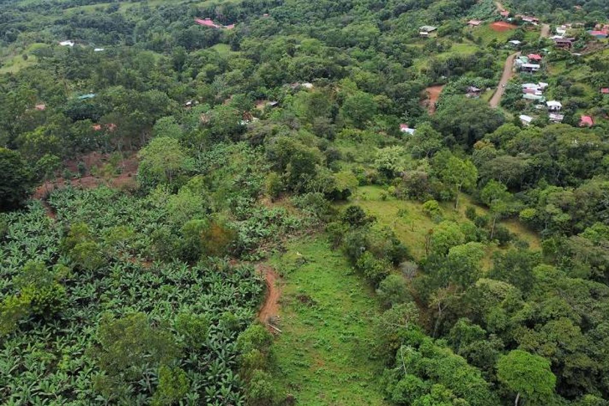 dji_fly_20230903_154312_617_1693777461584_photo_optimized