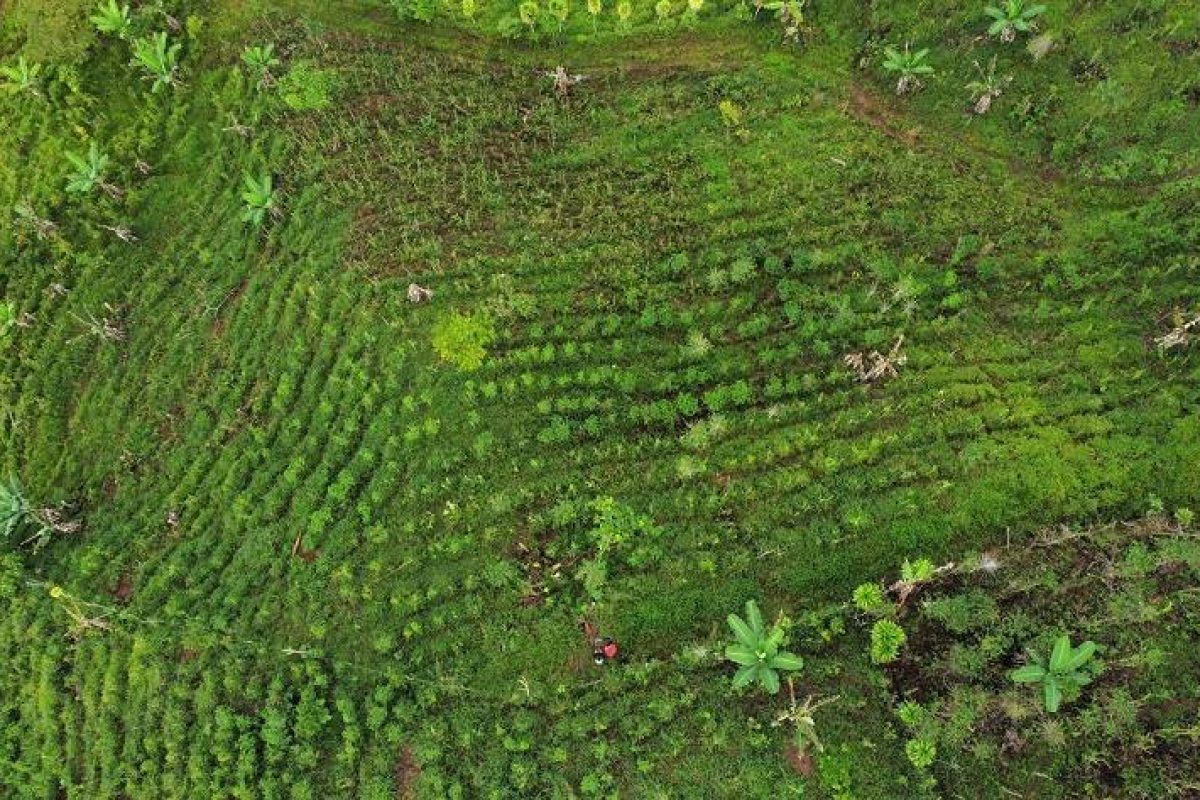 dji_fly_20230904_072830_620_1693854790714_photo_optimized