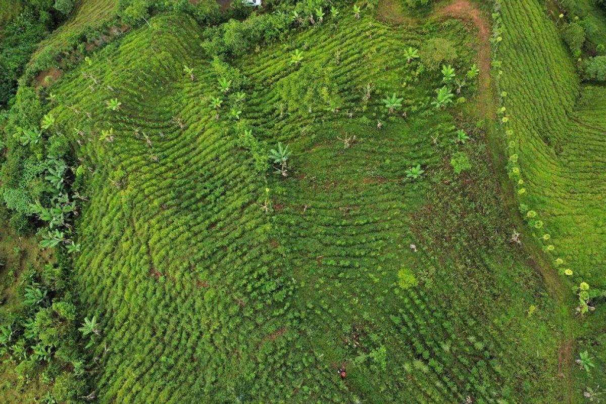 dji_fly_20230904_073010_627_1693834227438_photo_optimized