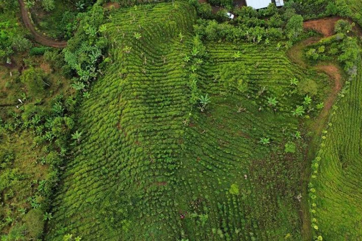 dji_fly_20230904_073208_631_1693834437804_photo_optimized