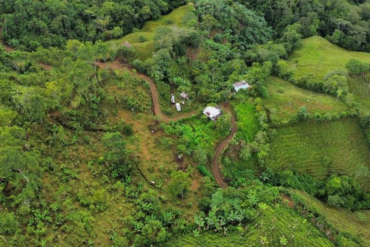 dji_fly_20230904_073454_640_1693834591588_photo_optimized