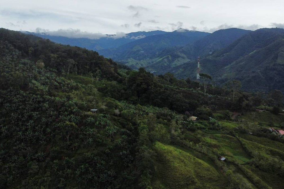 dji_fly_20230904_073658_645_1693834643451_photo_optimized