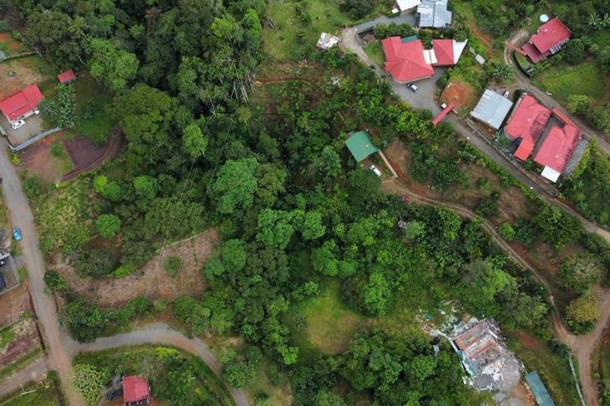 dji_fly_20230911_144900_683_1694465498808_photo_optimized