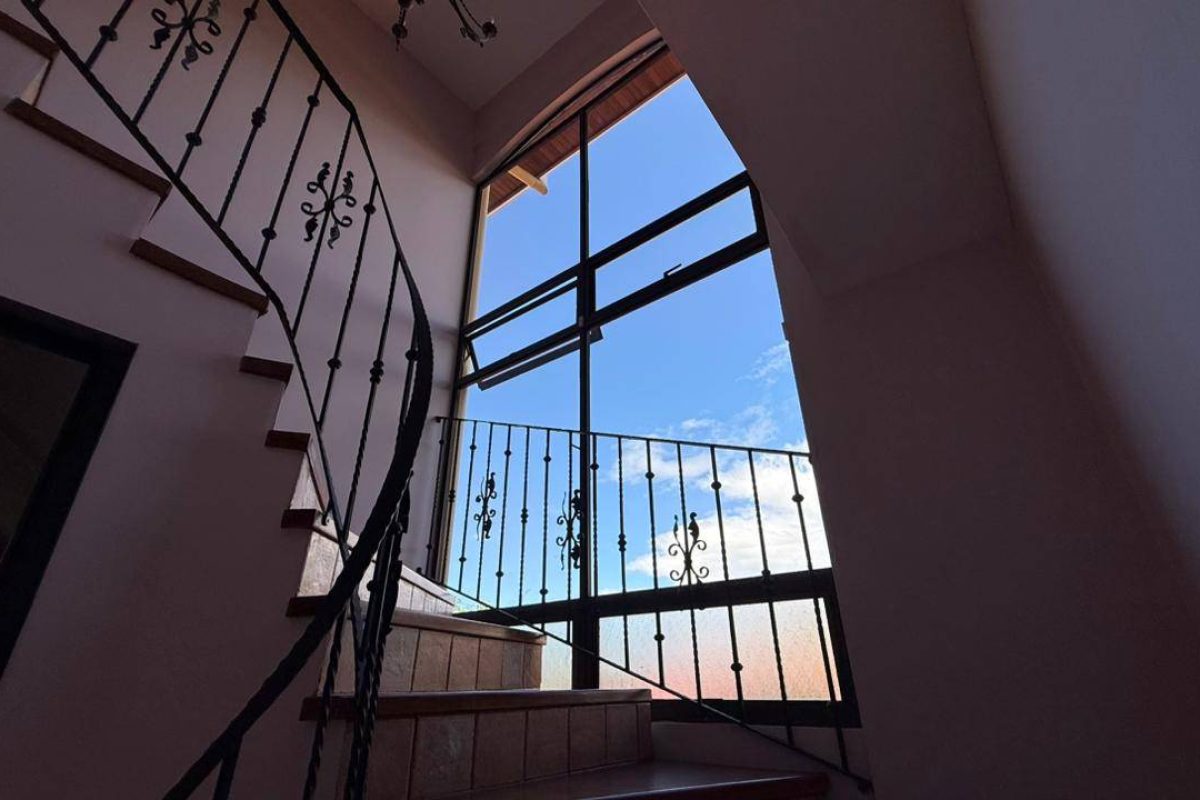 e0ceee50-5bf4-457a-8bb6-1f979aa98339