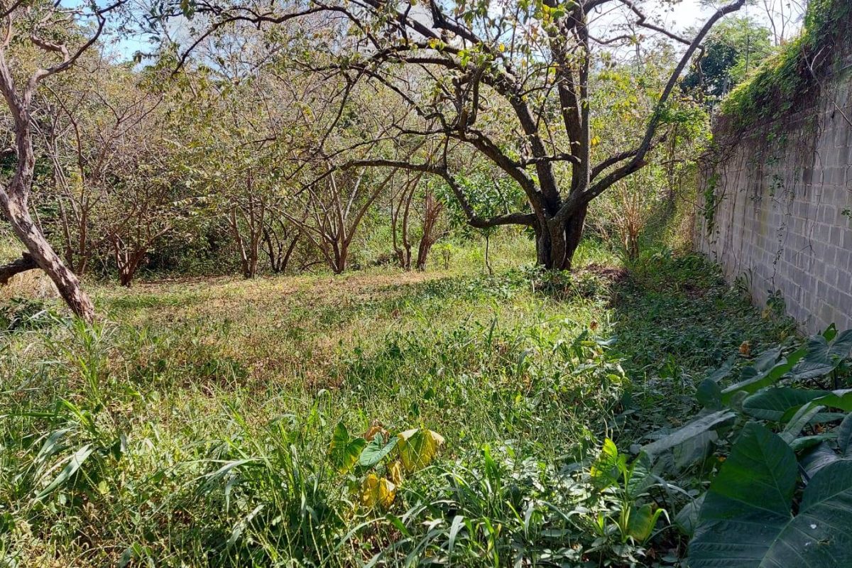 e326cf12-a1d7-449a-b6b9-69ceee4e59ca