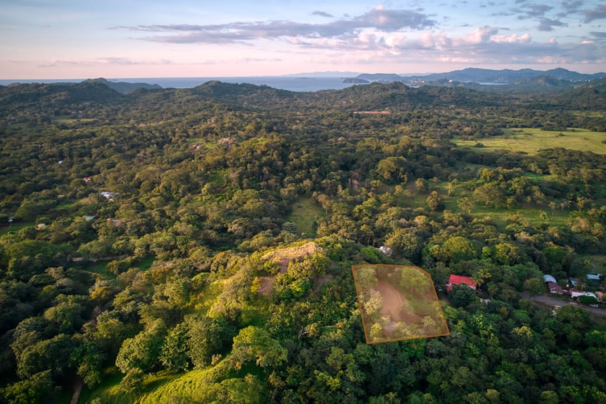 ea71d583-61e7-4404-8f9c-eb89369012e5