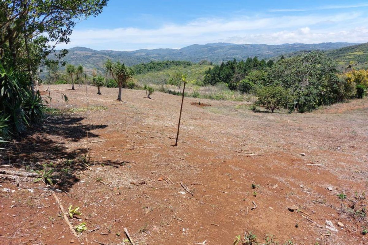 finca catarátas comprimida2