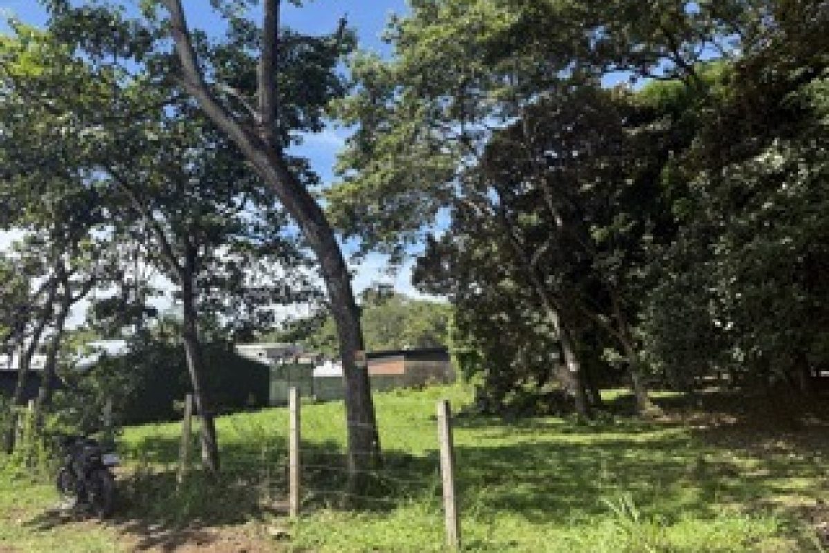 frente-del-lote-2-Small