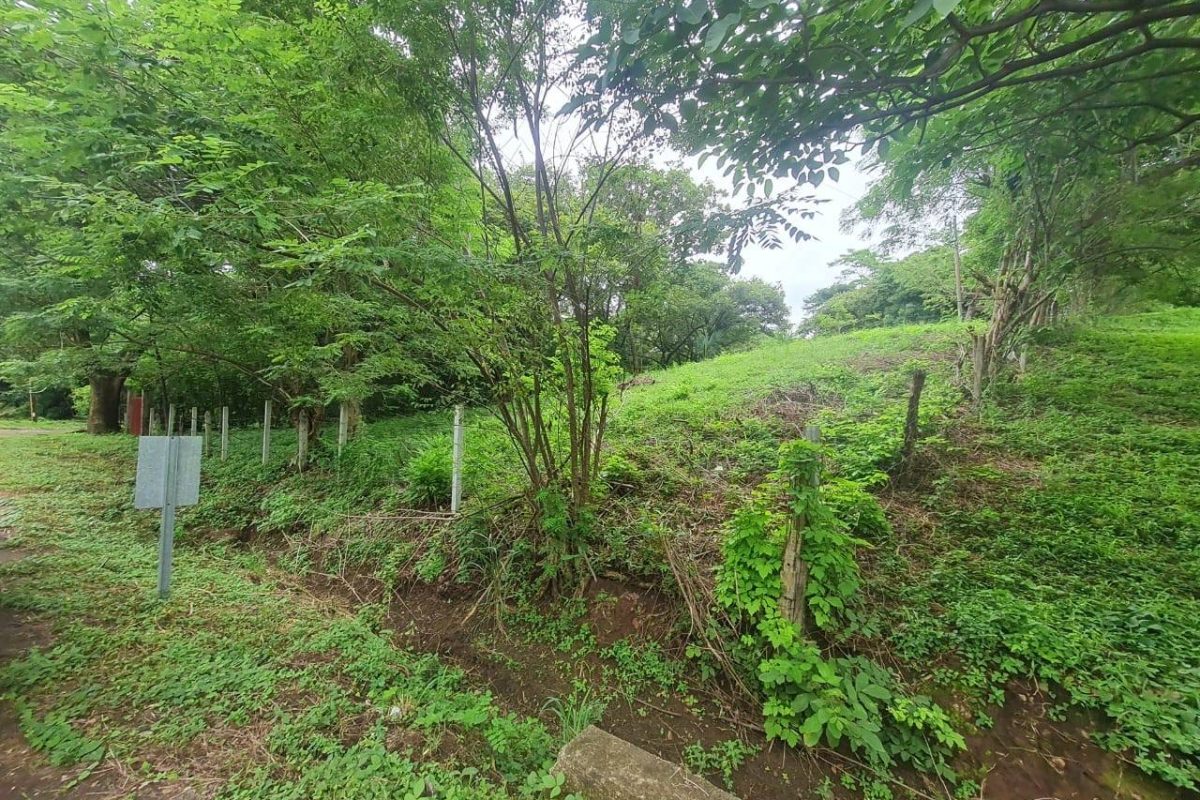 image_123650291 (4)