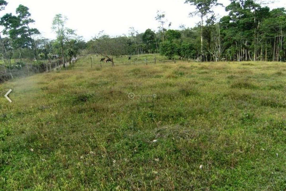 lote en venecia sncarlos.1-ddd95b42