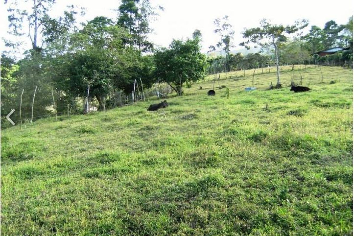 lote en venecia sncarlos.2-f984466d