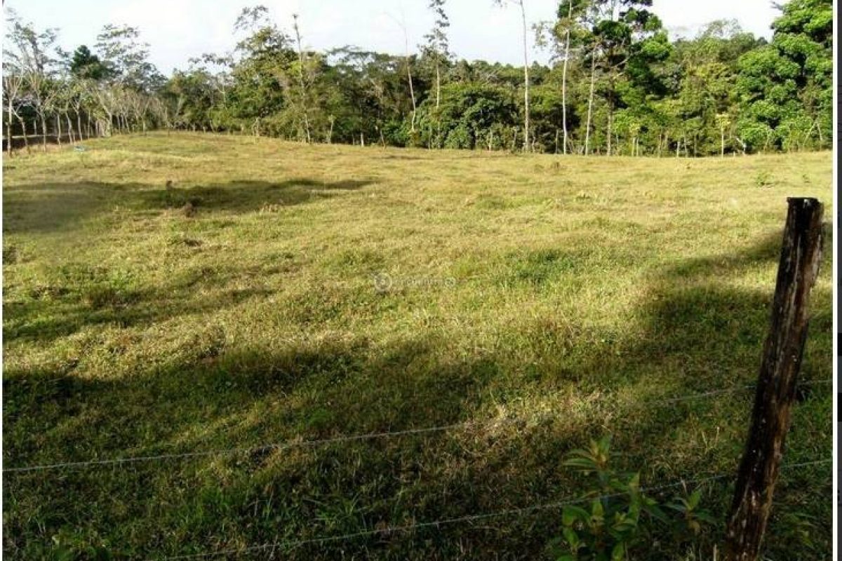 lote en venecia sncarlos.3-c9f4c74d