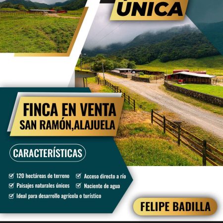 portada - copia
