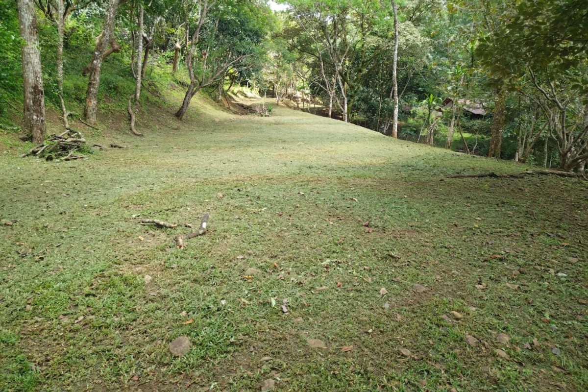 pri-3