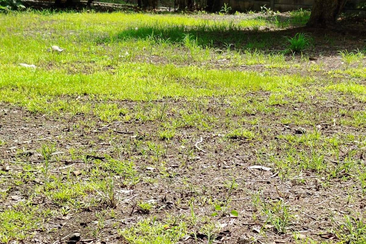 propiedad en orotina- se vende en orotina (13)