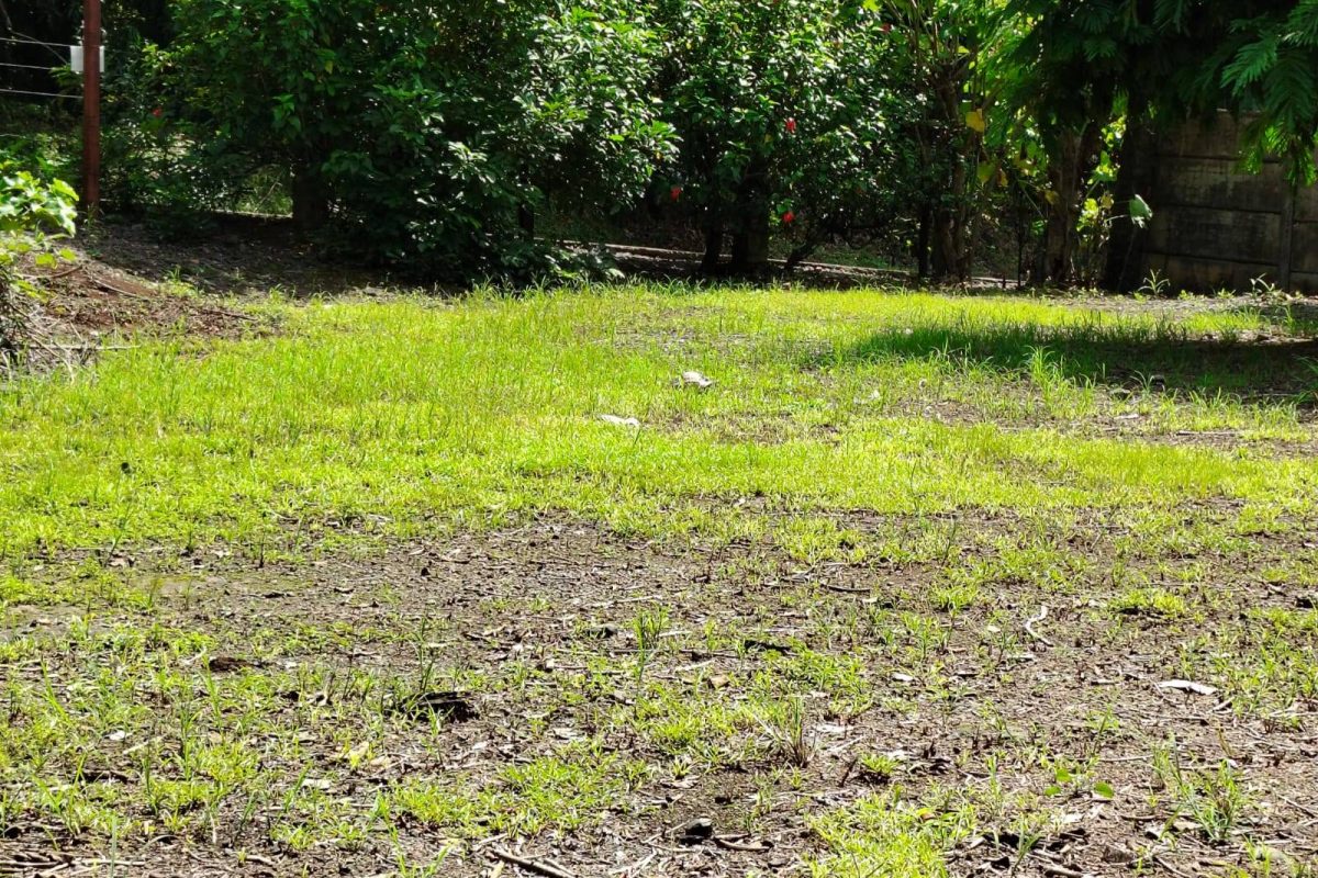 propiedad en orotina- se vende en orotina (16)