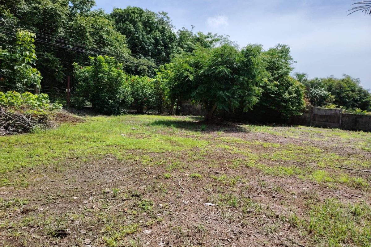 propiedad en orotina- se vende en orotina (24)