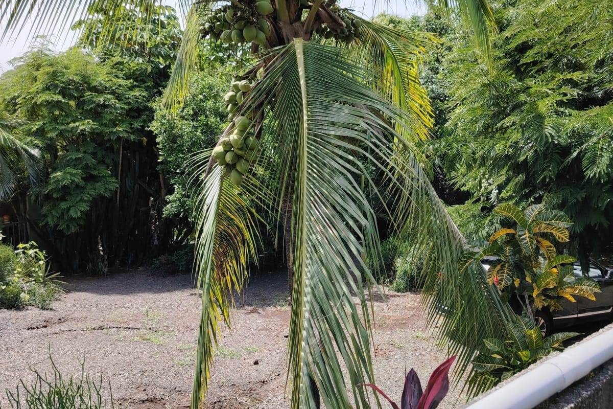 propiedad en orotina- se vende en orotina (26)