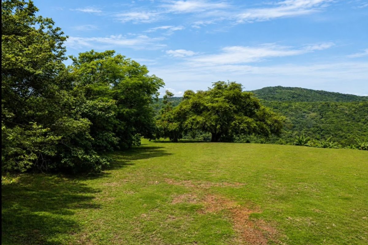 quinta-esencia-lote-2