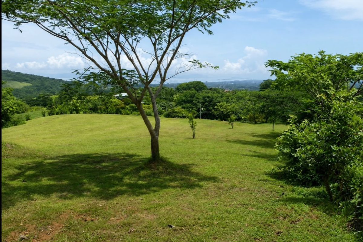 quinta-esencia-lote-3